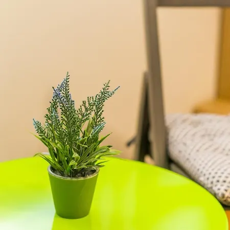 Guest house The Point 3*